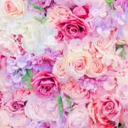 ２００ デシベル フライヤー  2種類 キム・レウォン 韓国ドラマ 順風産婦人科 キム・レウォン ソン・ヘギョ 全巻