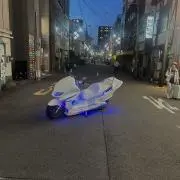 NOVA XR5000 スタンガン カバーのみ 当時物 アメリカ
