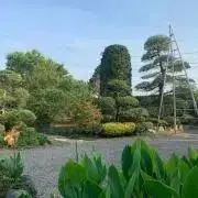 ◇五智窯 【木村隆】作 無地茶碗 共箱・黄布・栞付き 登り窯