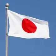 515の画像