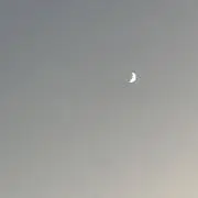 ソラの画像