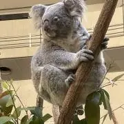Mの画像