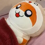 あの画像