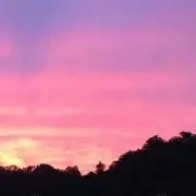 ☆☆MON☆☆の画像