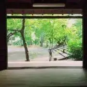 デュエルマスターズ 希少 サムライ認定書 ナイト認定書