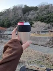 Madsの画像