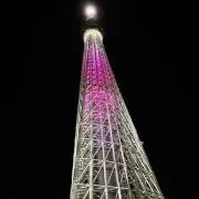 MLB 東京シリーズ オリジナル炭酸ボトル 引換券 2枚