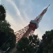 ヤンマー　山田勇樹モデル　アームカバー TRiNiDAD トリニダード アームサポーター 山田勇樹モデル