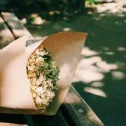 楓の画像