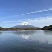 筑波大学 陸上競技部 白ユニフォーム 白桐 - メルカリ