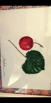 セール特価 新吉 岩井 油彩 メルカリ - 「後楽の桜」 真作 絵画