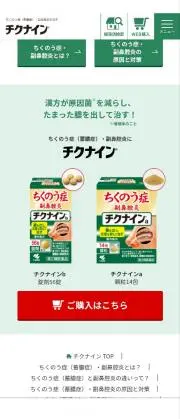 【高い素材】 甲子園 超貴重 出場校 公式戦 野球部 高校 足利工業 ウェア