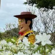 siosio☆の画像