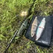 希少】玄人ルアー 4連スイムベイト KUROUTO LURES 釣り