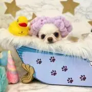 サントリーキャンペーン☆96点分 - メルカリ
