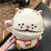 Chachaの画像