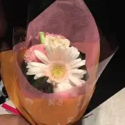 KONの画像