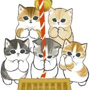 ハローキティ 50周年 ミニカード 全21種｜Yahoo!フリマ（旧