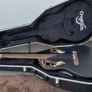 EPIPHONE エピフォンDR-100 NA ソフトケース及びピックアップ