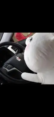グルーミーぬいぐるみスターリーエディション#528ホワイト