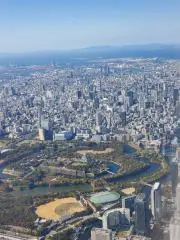 ダイコー 磯竿 釣竿 アクロス磯 プロタイプ 1号 6.3 - メルカリ
