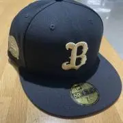 阪神タイガース NEWERA THECAP EXPOCITYCOLLECTION - メルカリ