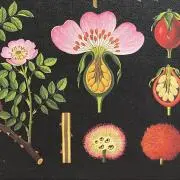 薗部八重子 絵画 モンマルトル パリ 絵 額縁 コレクション