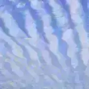 大好き 絵画 淡路 美智 ( あわじ みち ) 「石榴」 油絵 SMサイズ
