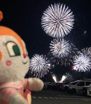 PIKMIN×JR九州」ピクミンイベント限定グッズ乗り物フルコンボ6