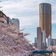 大丸の画像