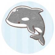 orca@プロフ確認お願いします。の画像