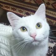 Juliannの画像