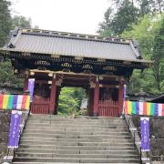 シナリー ラブレ アイシャドウ チーク メイクパレット 脱石油