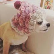 うーる。の画像