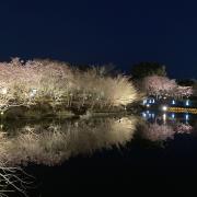 11s_storeの画像