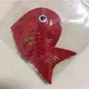 きんぎょ友達の画像