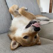 みさ★プロフ確認お願い致します★の画像