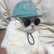CAT93の画像