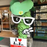 ゆってぃーの画像