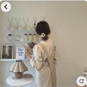 メーカー包装済】 ピチュー_プレミアムファイル2 第2世代（☆neo