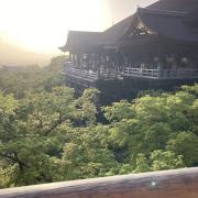 tnmの画像