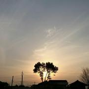 まーちゃん。の画像