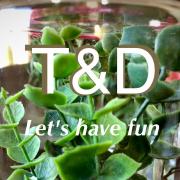 虫かご ｍロング ガラス飼育ケース アシダカグモ カマキリ ハエトリグモ 撮影 メルカリ