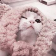 R♡の画像