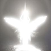 m87216331215_1.jpg?1731153245