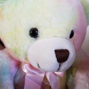 ＦＷ／Ｒ★の画像