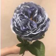 お客様が購入したい金額→コメントにて対応 インスタグラムの偽アカウントにご注意ください！ | お知らせ