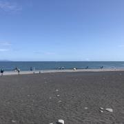 あかねの画像