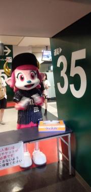 横浜DeNAベイスターズ 球団創設70周年記念歴代キャップマーク総