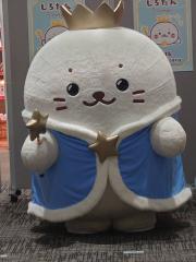 こじみちゃんの画像
